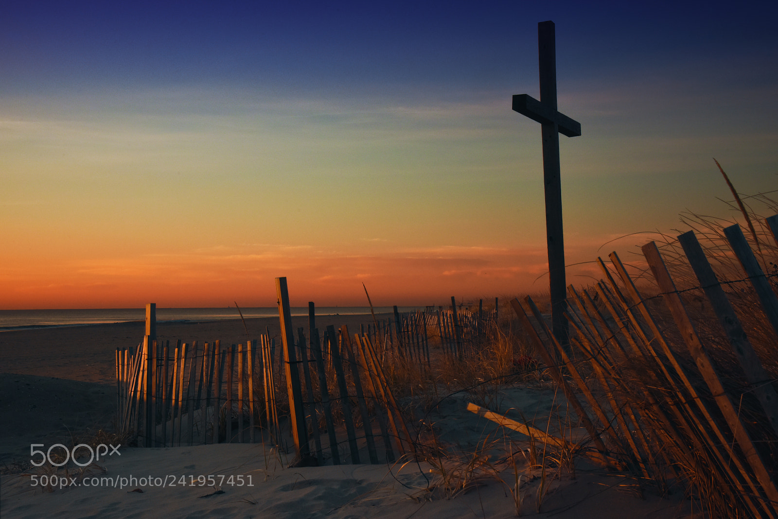 Nikon D810 sample photo. Dune cross photography