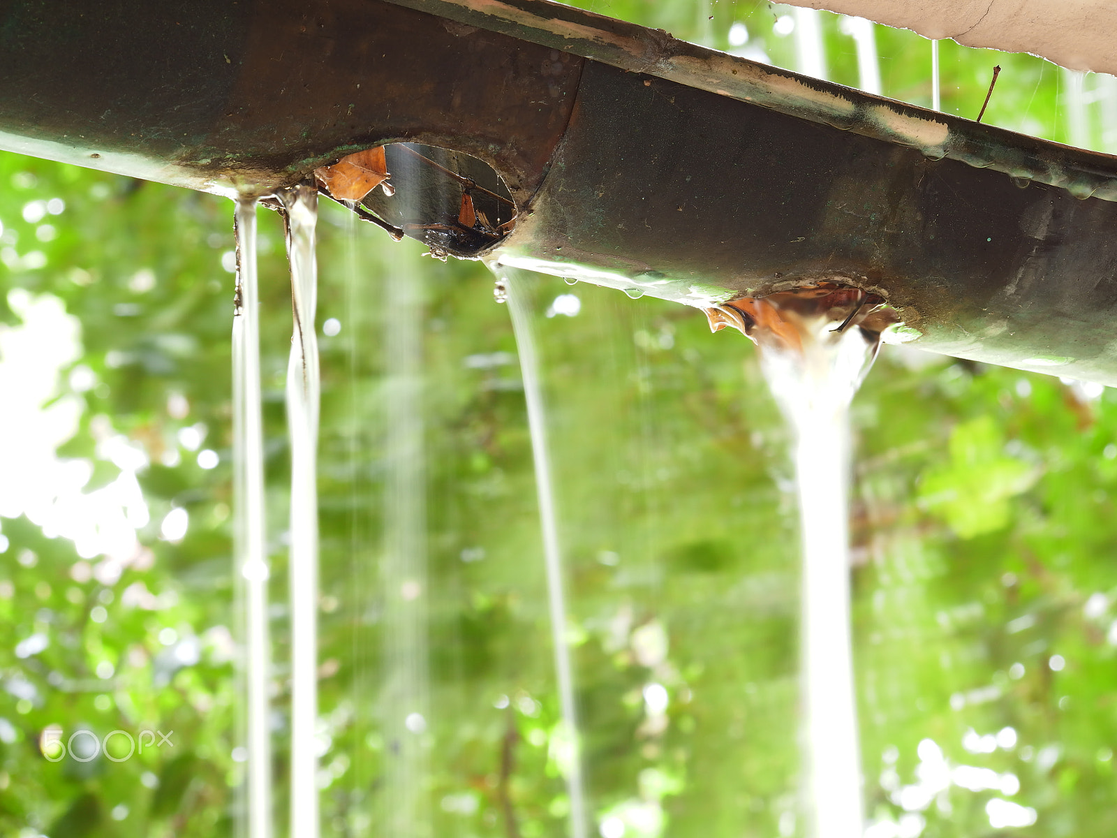 YI TECHNOLOGY M1 sample photo. Pluviophile photography