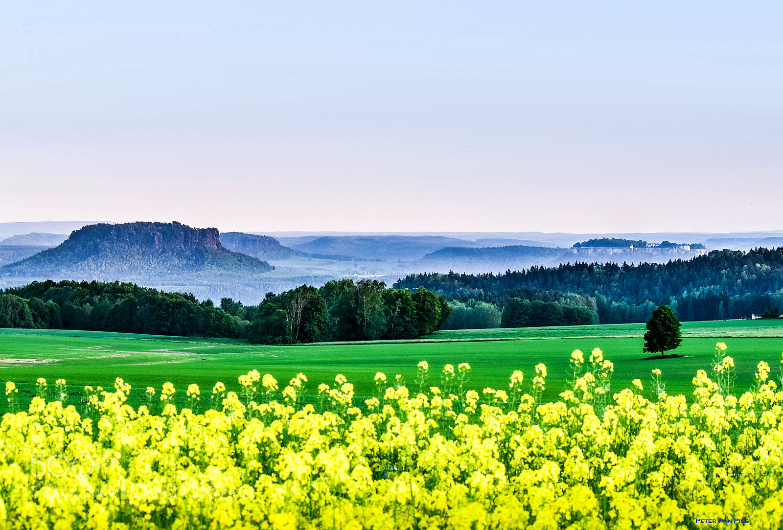 Nikon D5500 sample photo. Raps mit feste photography