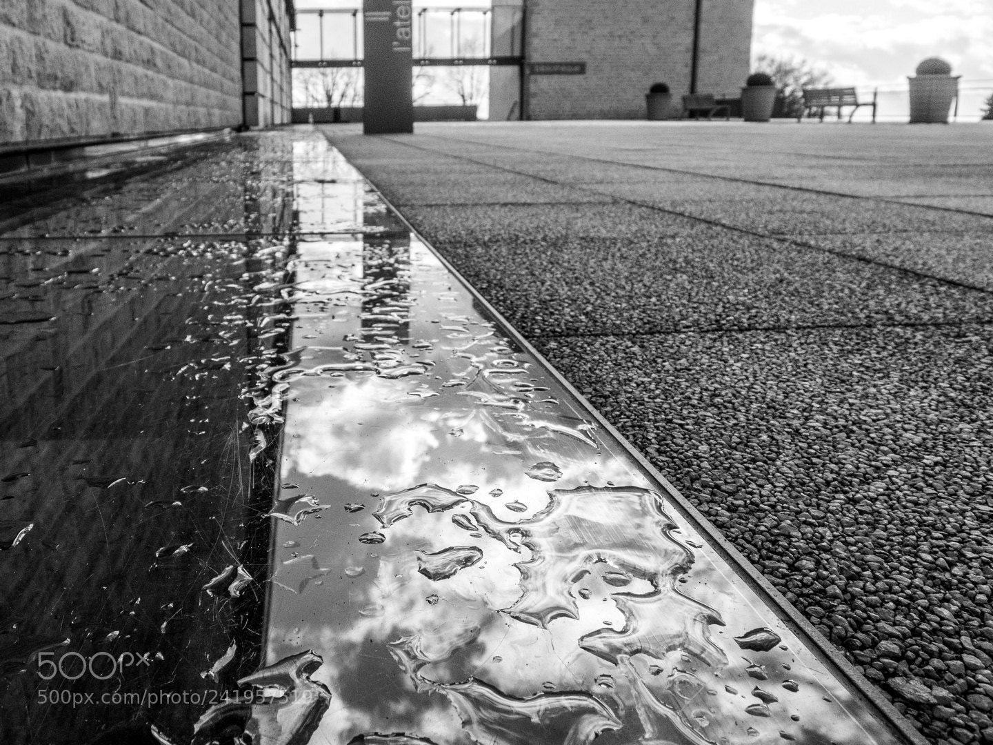 Olympus OM-D E-M1 sample photo. Reflets sur le mus photography