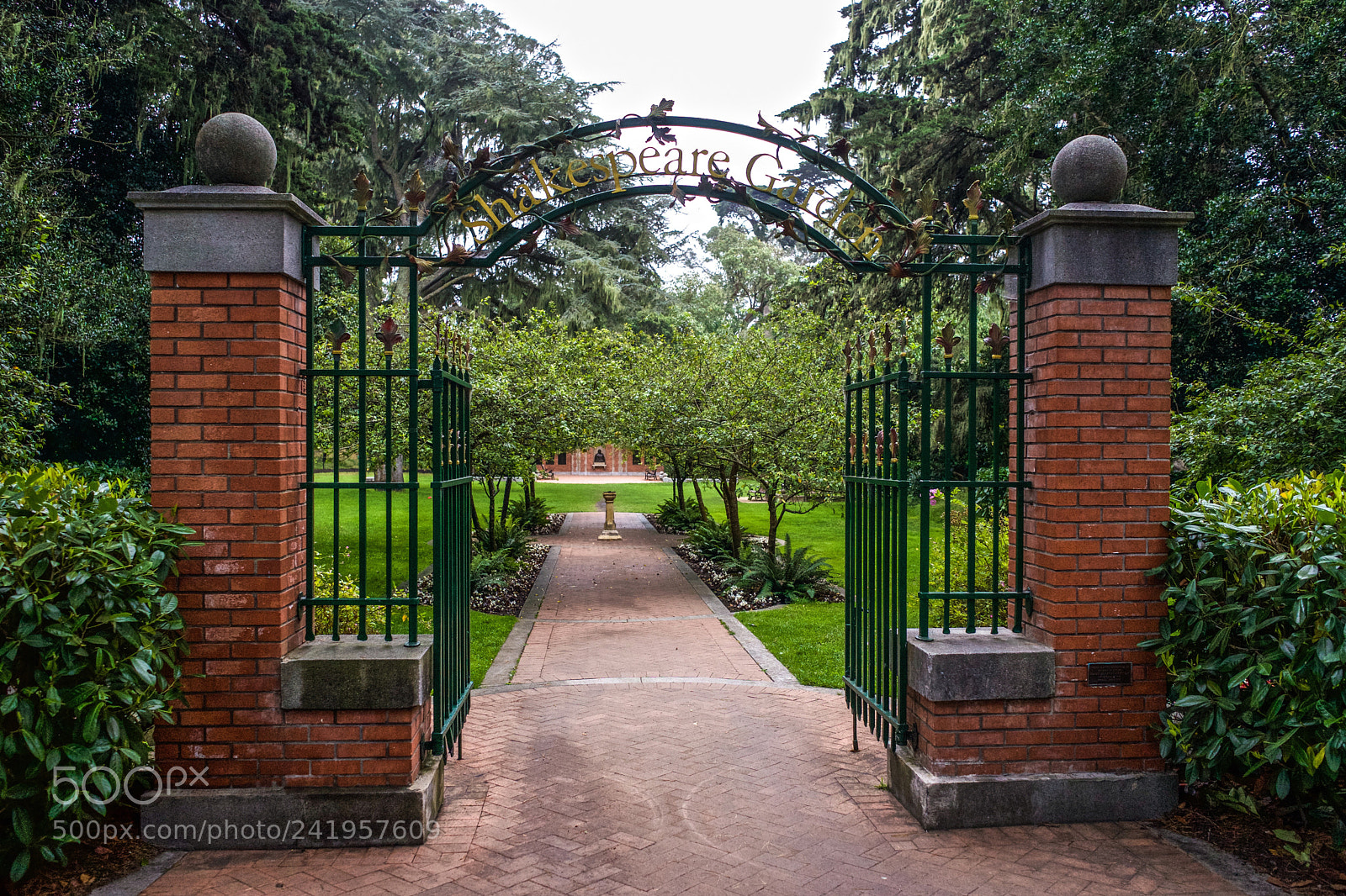 Sony a7 sample photo. The shakespeare garden golden photography