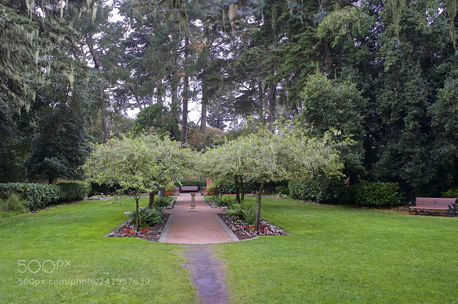 Sony a7 sample photo. The shakespeare garden golden photography