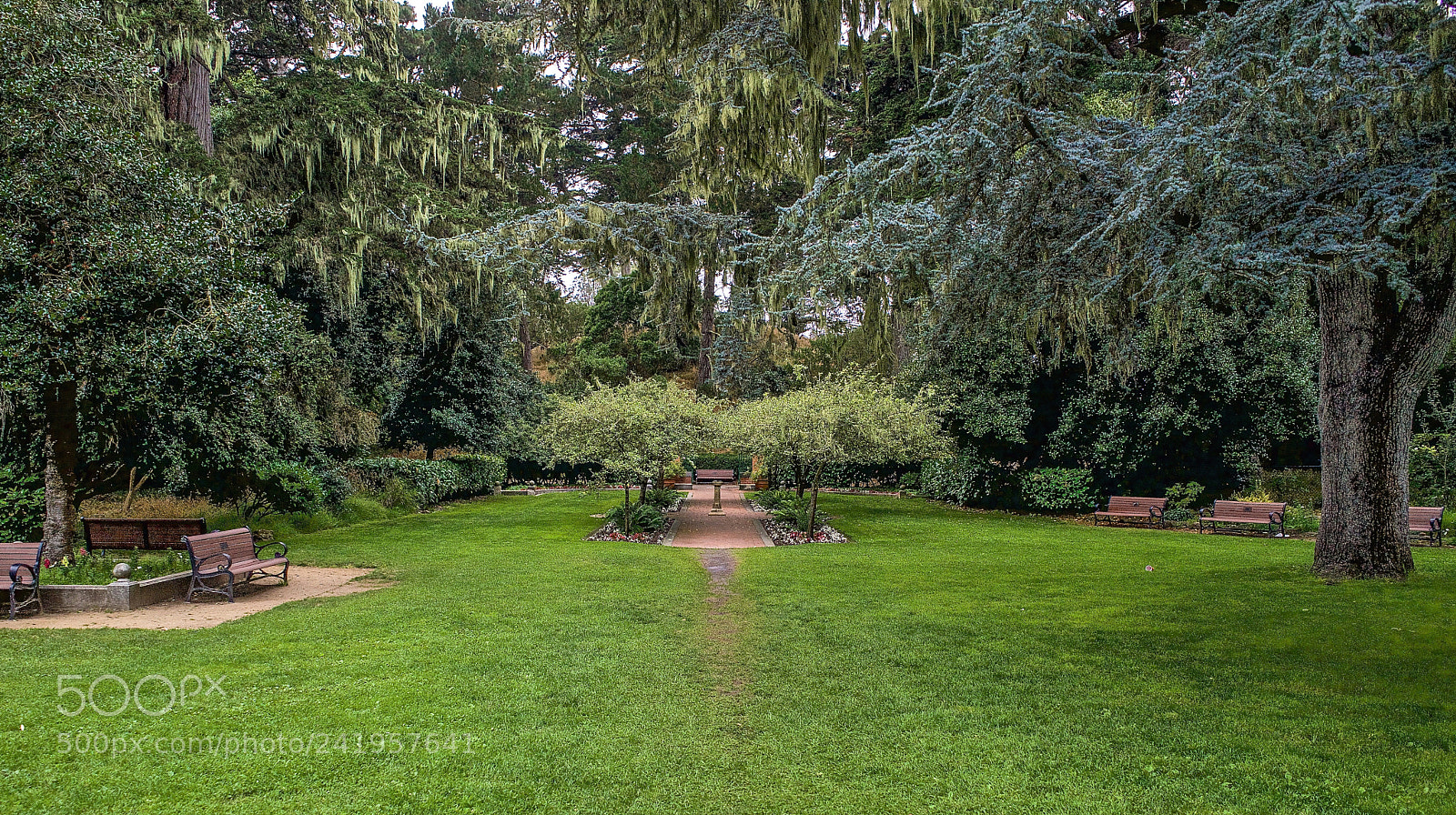Sony a7 sample photo. The shakespeare garden golden photography