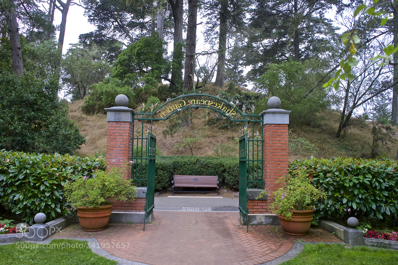 Sony a7 sample photo. The shakespeare garden golden photography