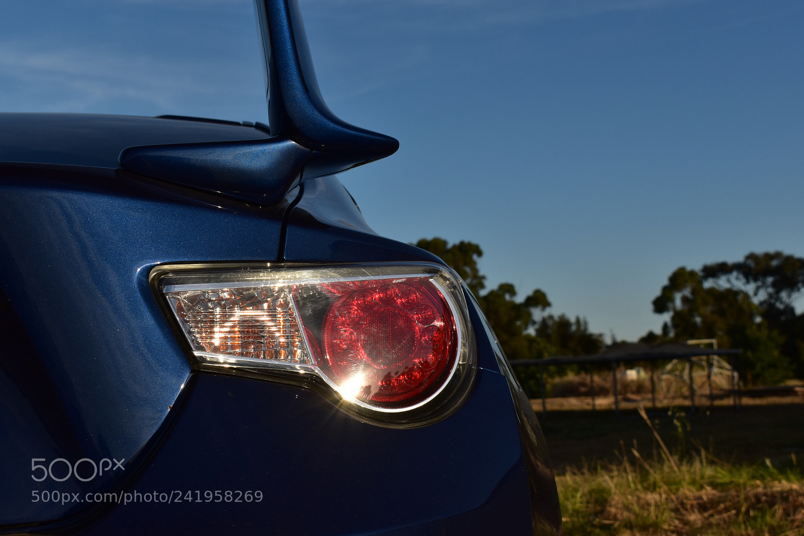 Nikon D5600 sample photo. They comin' in the photography
