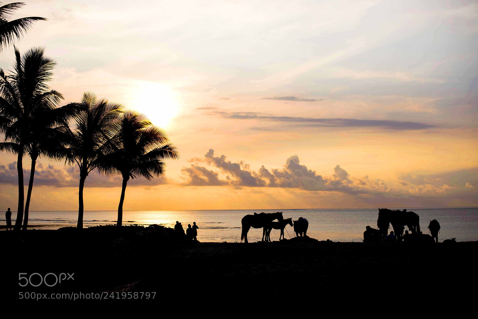 Nikon D600 sample photo. Fiji sunset photography