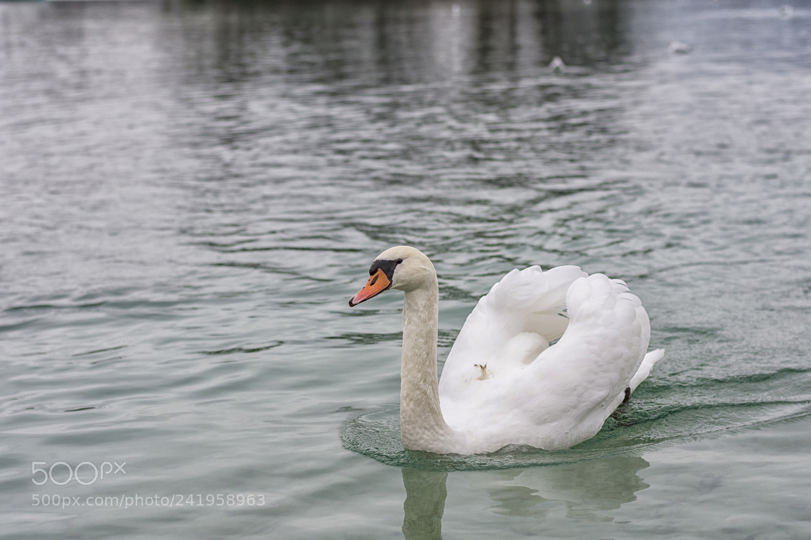 Nikon D7200 sample photo. Signe sur le lac photography