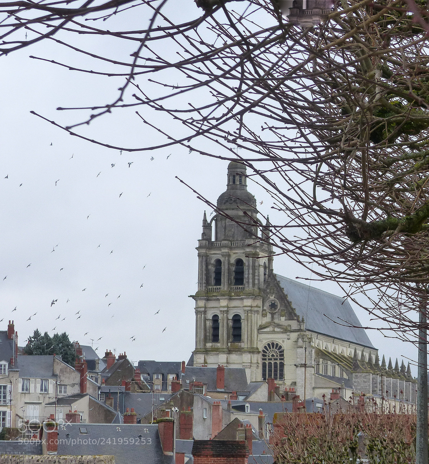 Panasonic Lumix DMC-FZ200 sample photo. Cathedral of blois photography