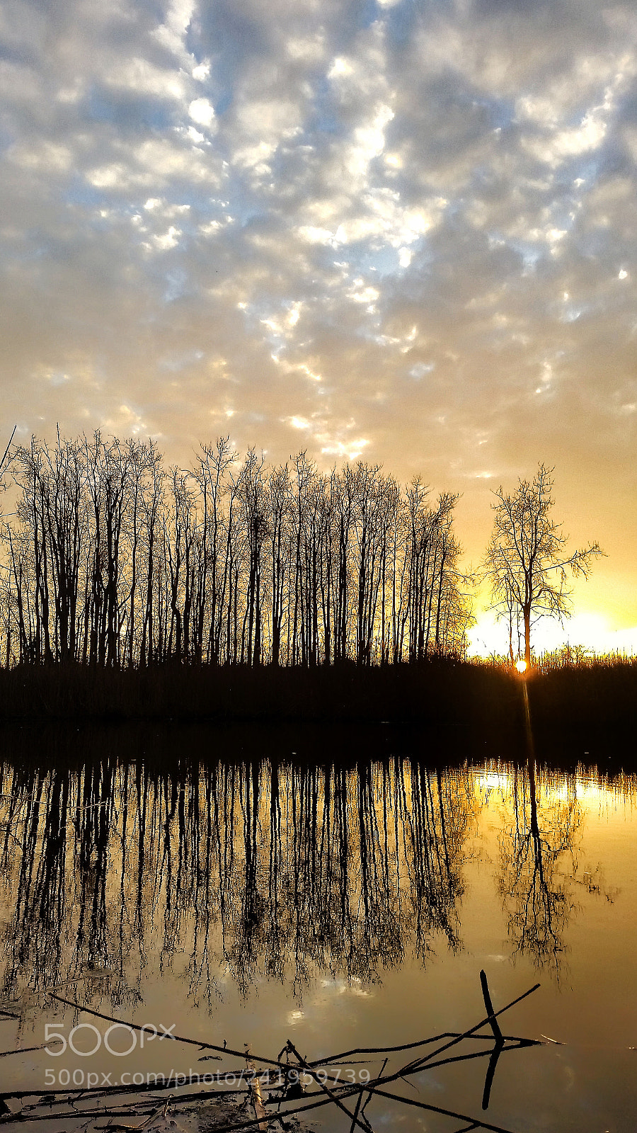 Samsung Galaxy S5 sample photo. Pond photography
