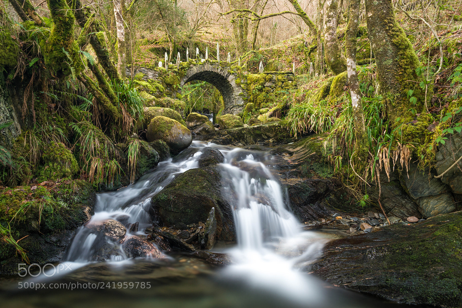 Nikon D800 sample photo. Fairy glen bridge went photography