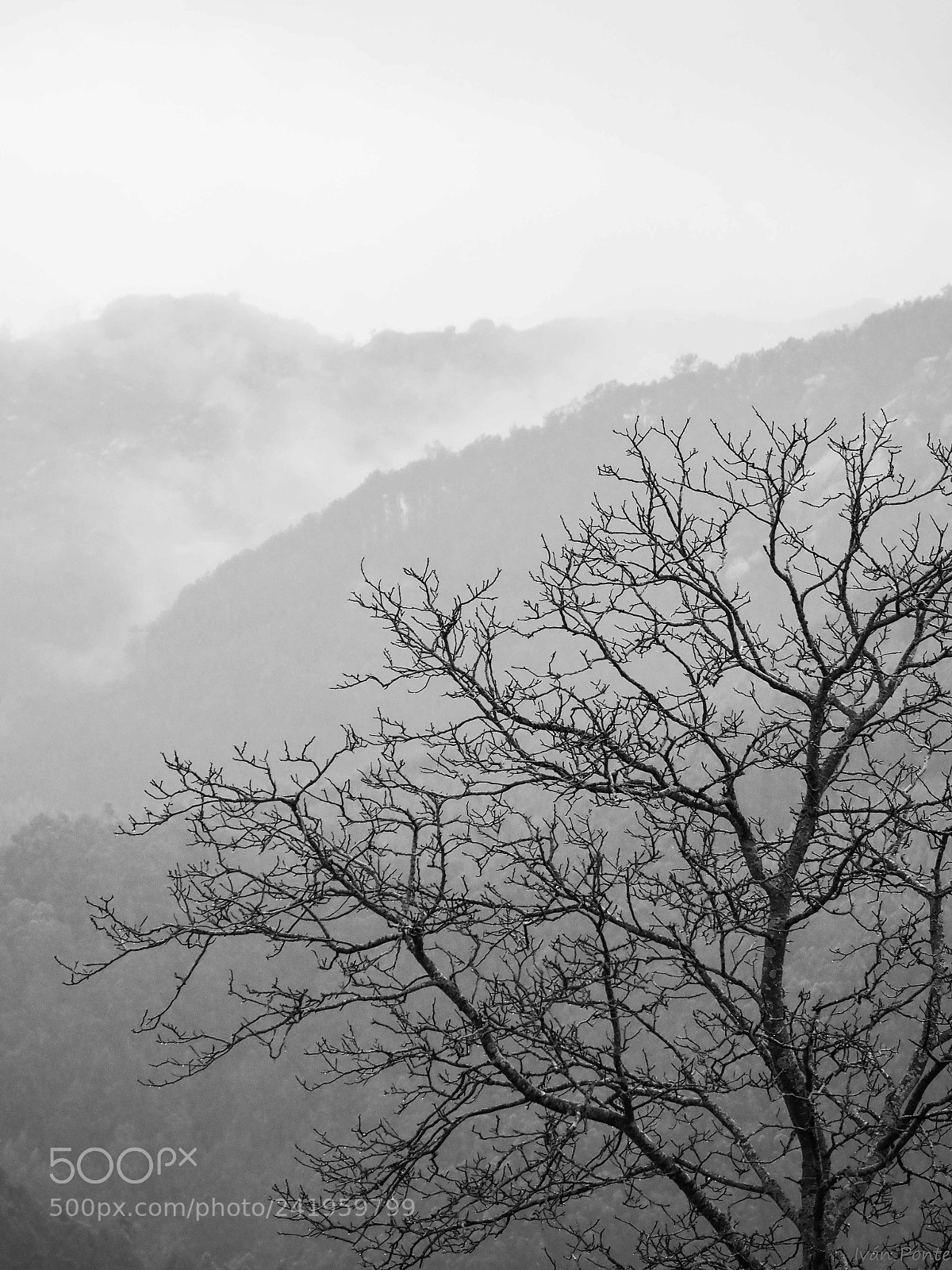 Olympus OM-D E-M1 Mark II sample photo. Untitled photography