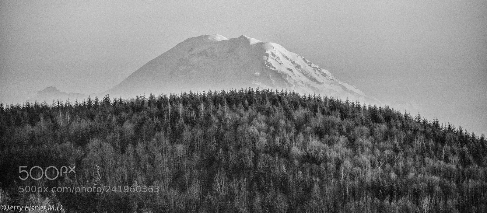 Nikon D800 sample photo. Mount baker from fir photography