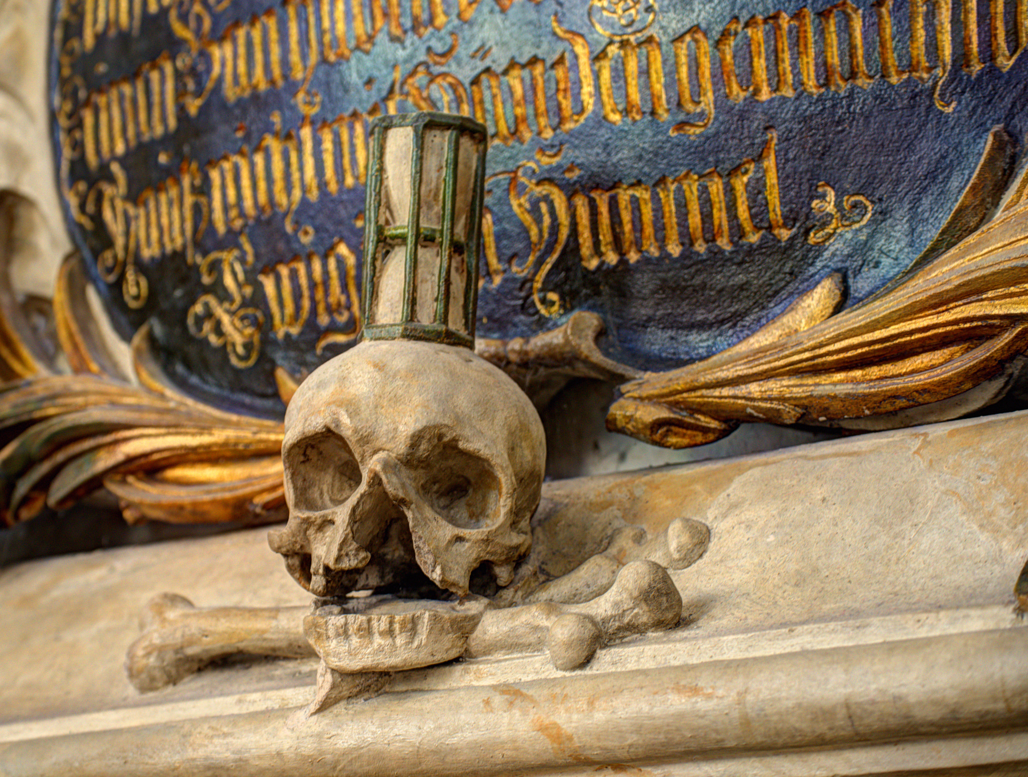 Nikon D800 sample photo. Skull detailed photography