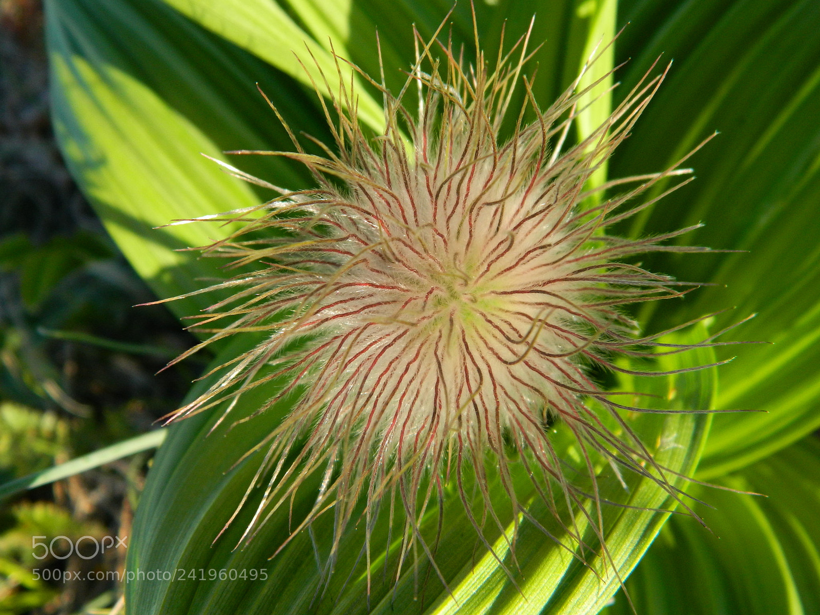 Nikon Coolpix L120 sample photo. Sve photography