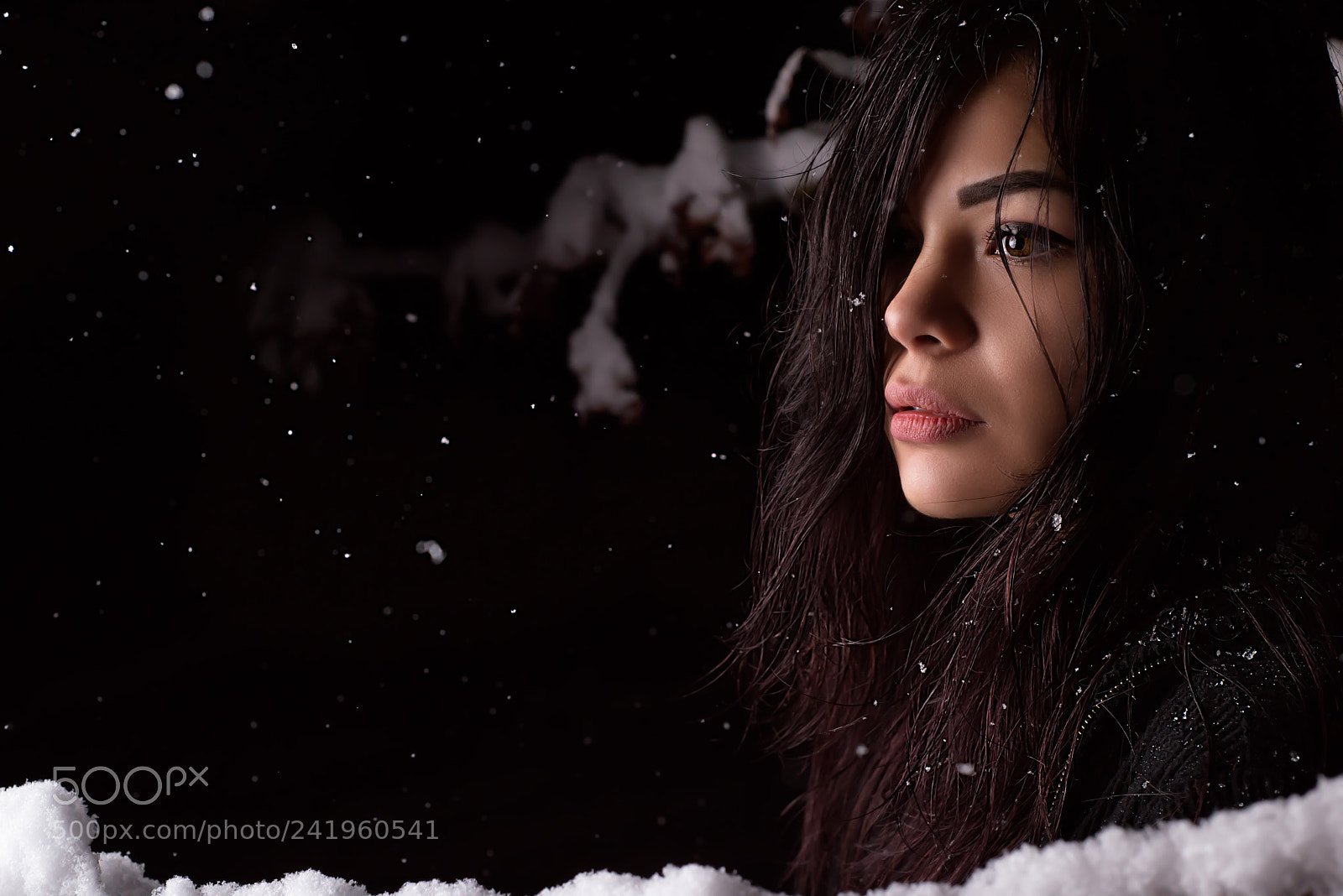 Nikon D810 sample photo. Thoughtful winter photography