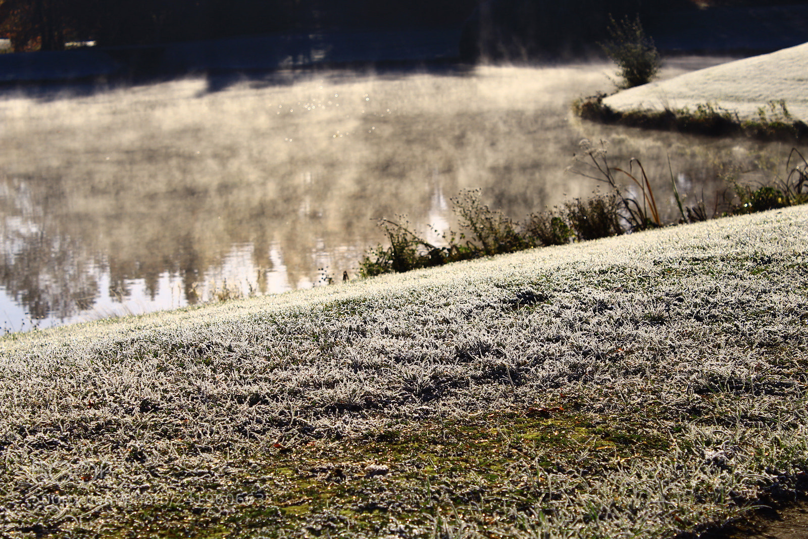 Canon EF-S 18-55mm F3.5-5.6 III sample photo. Le r veille de photography