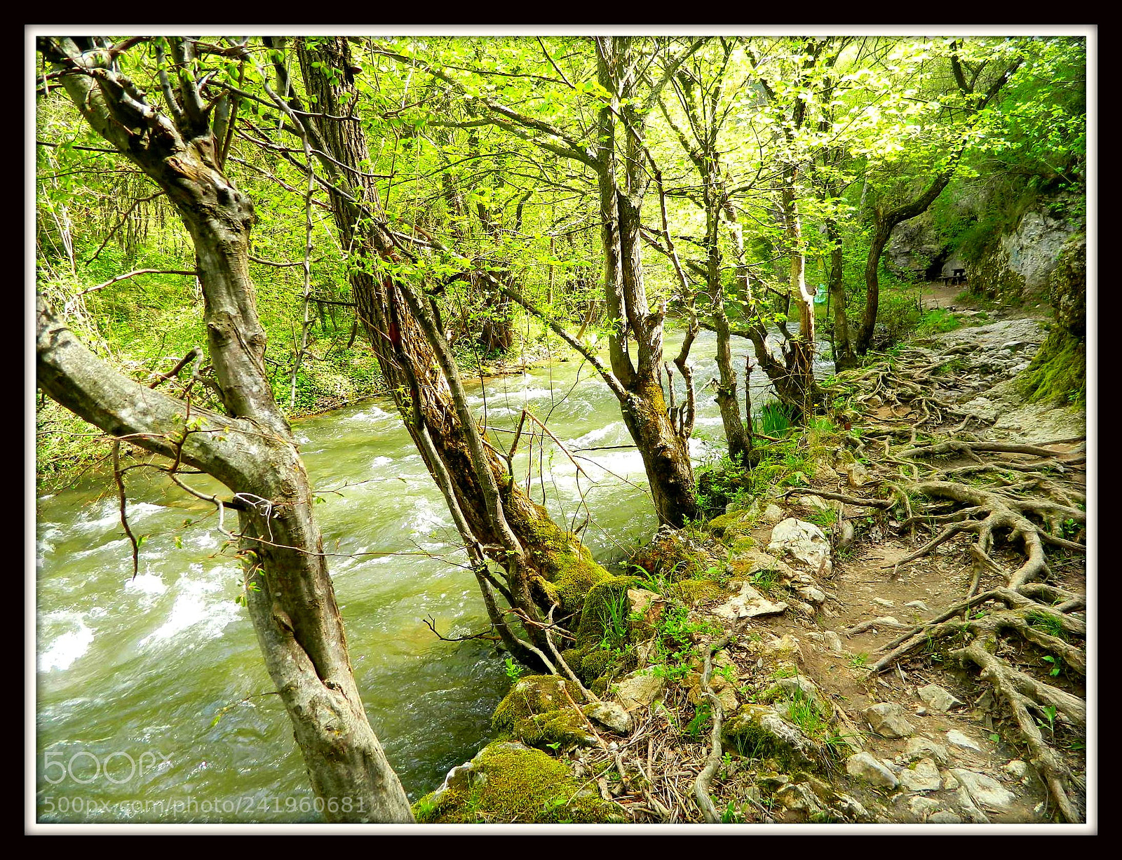 Nikon Coolpix L120 sample photo. Moravica photography
