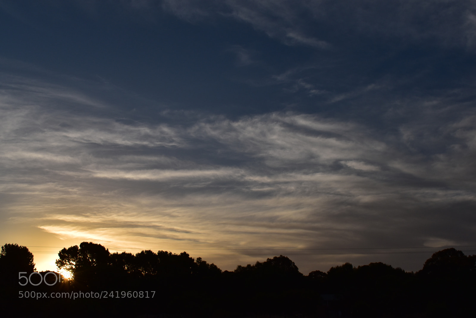 Nikon D5600 sample photo. Golden blues photography