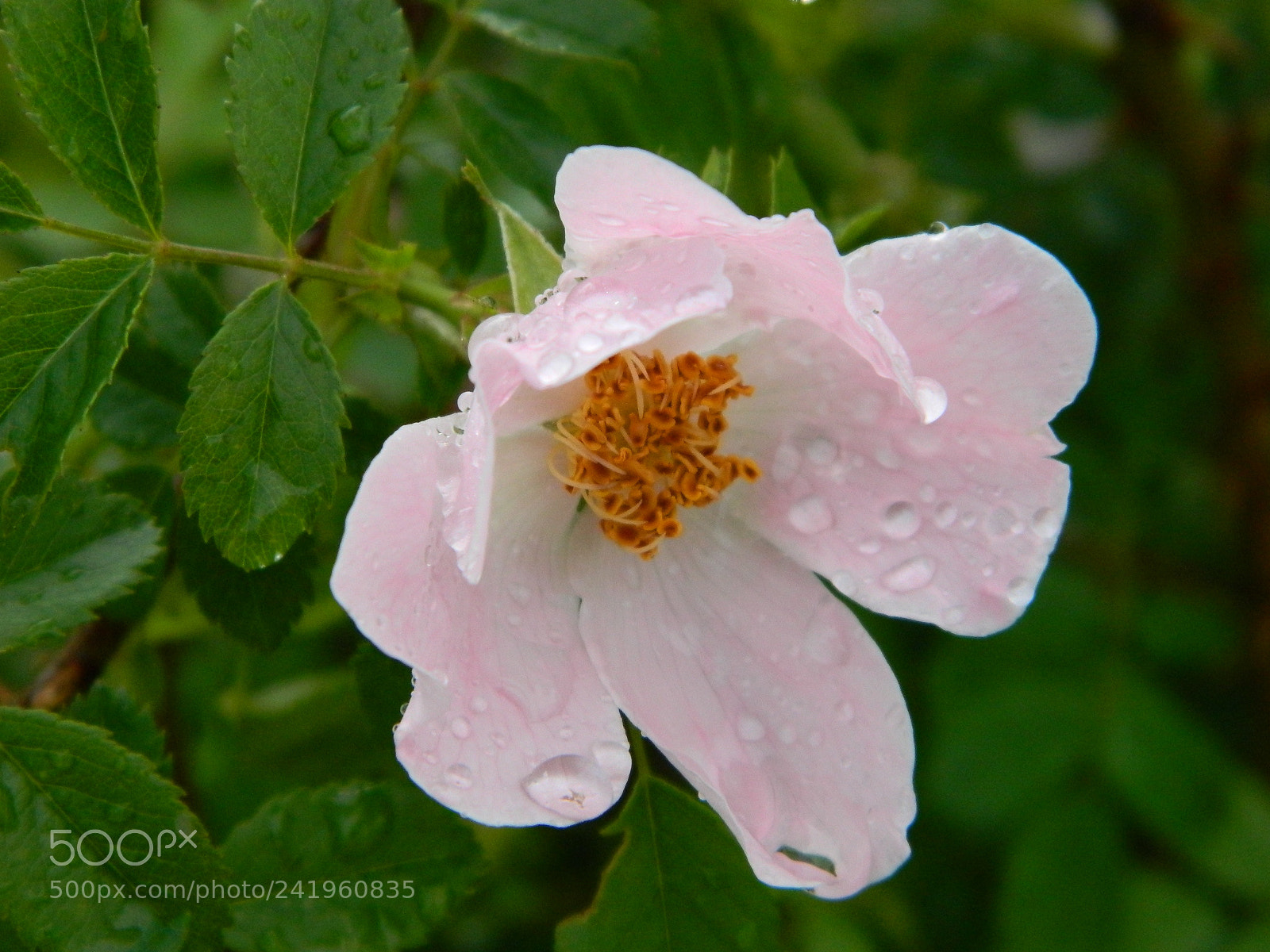Nikon Coolpix L120 sample photo. Folder za brisanje photography