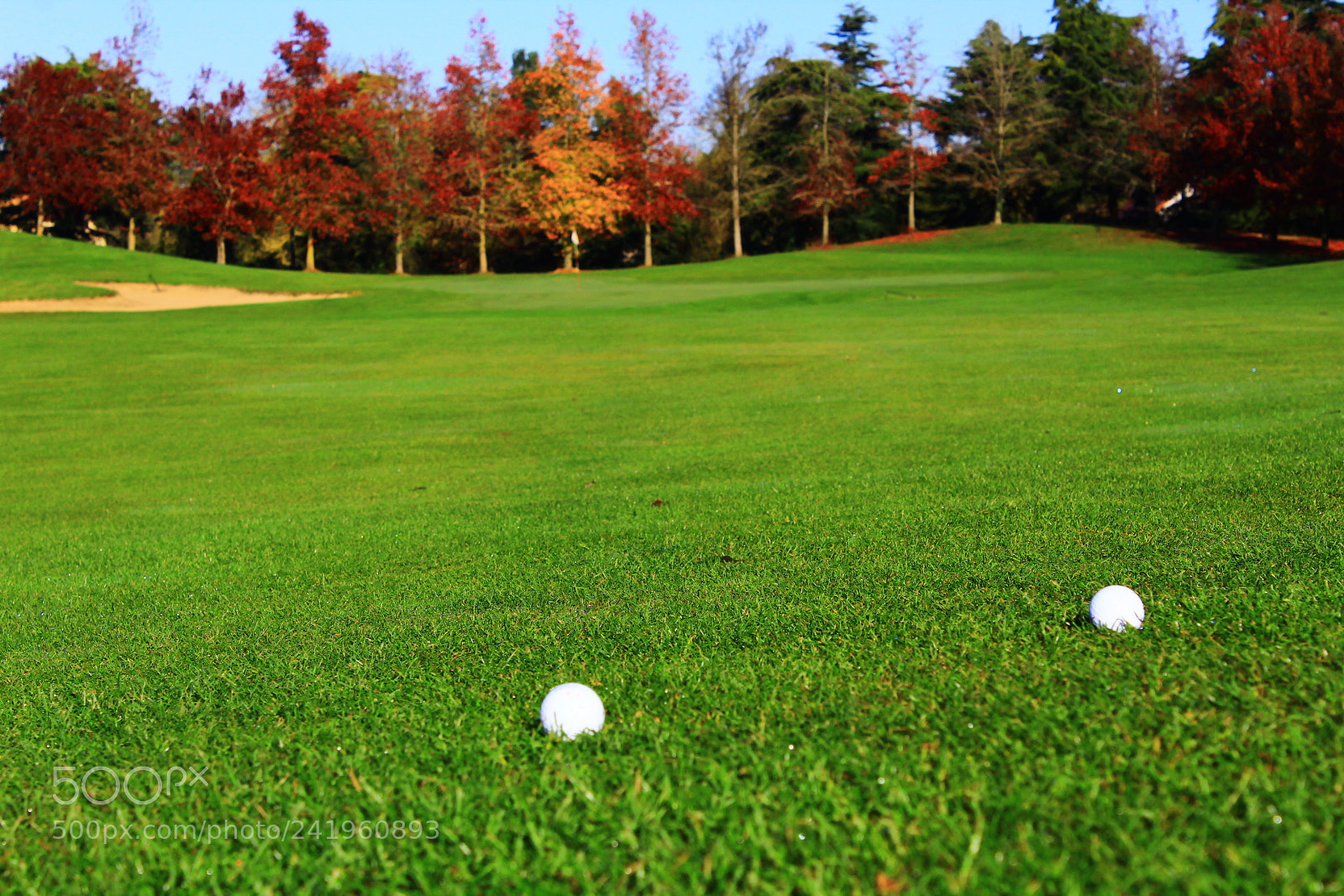 Canon EF-S 18-55mm F3.5-5.6 III sample photo. Nature et golf la photography