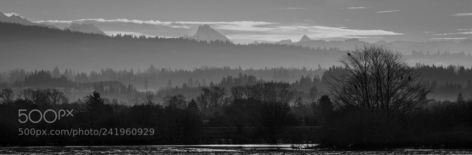 Nikon D800 sample photo. From hayton access fir photography
