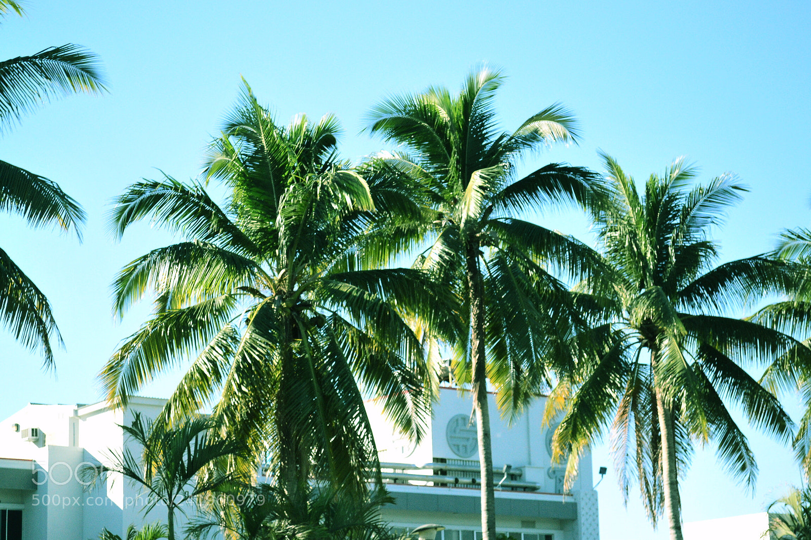 Nikon D3100 sample photo. Untitled photography