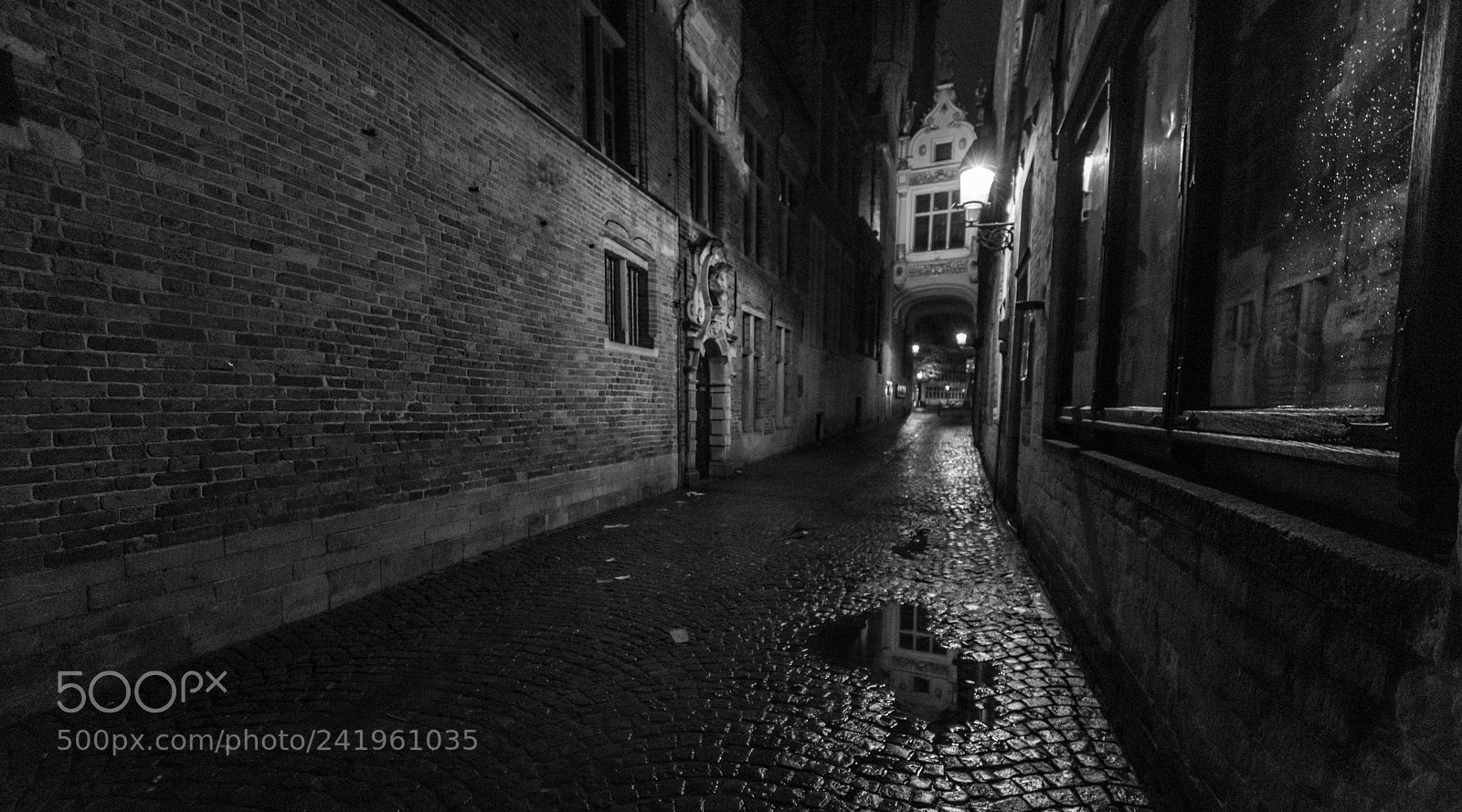 Nikon D810 sample photo. Bruges winters night photography