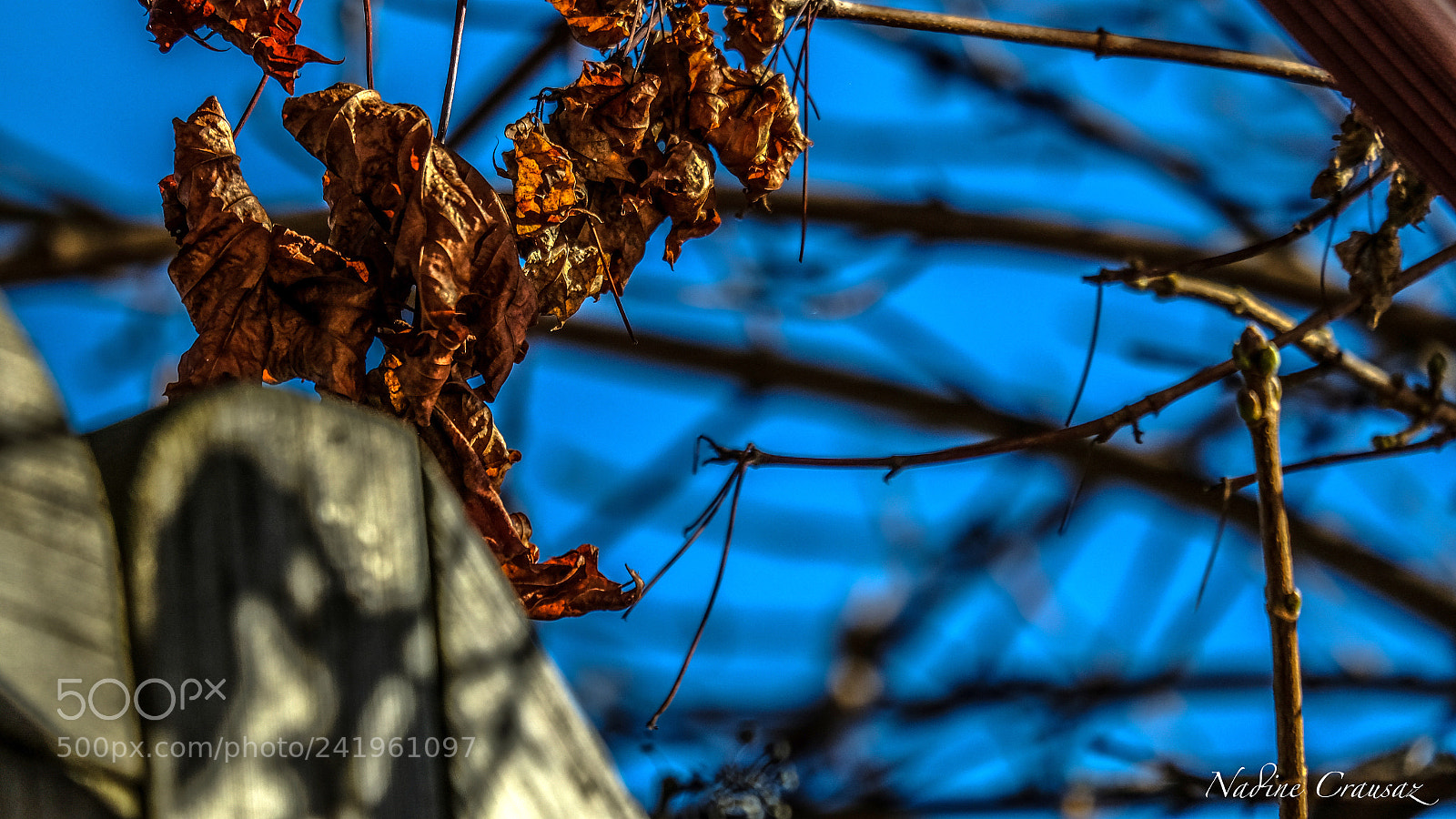 Fujifilm X-T2 sample photo. Untitled photography
