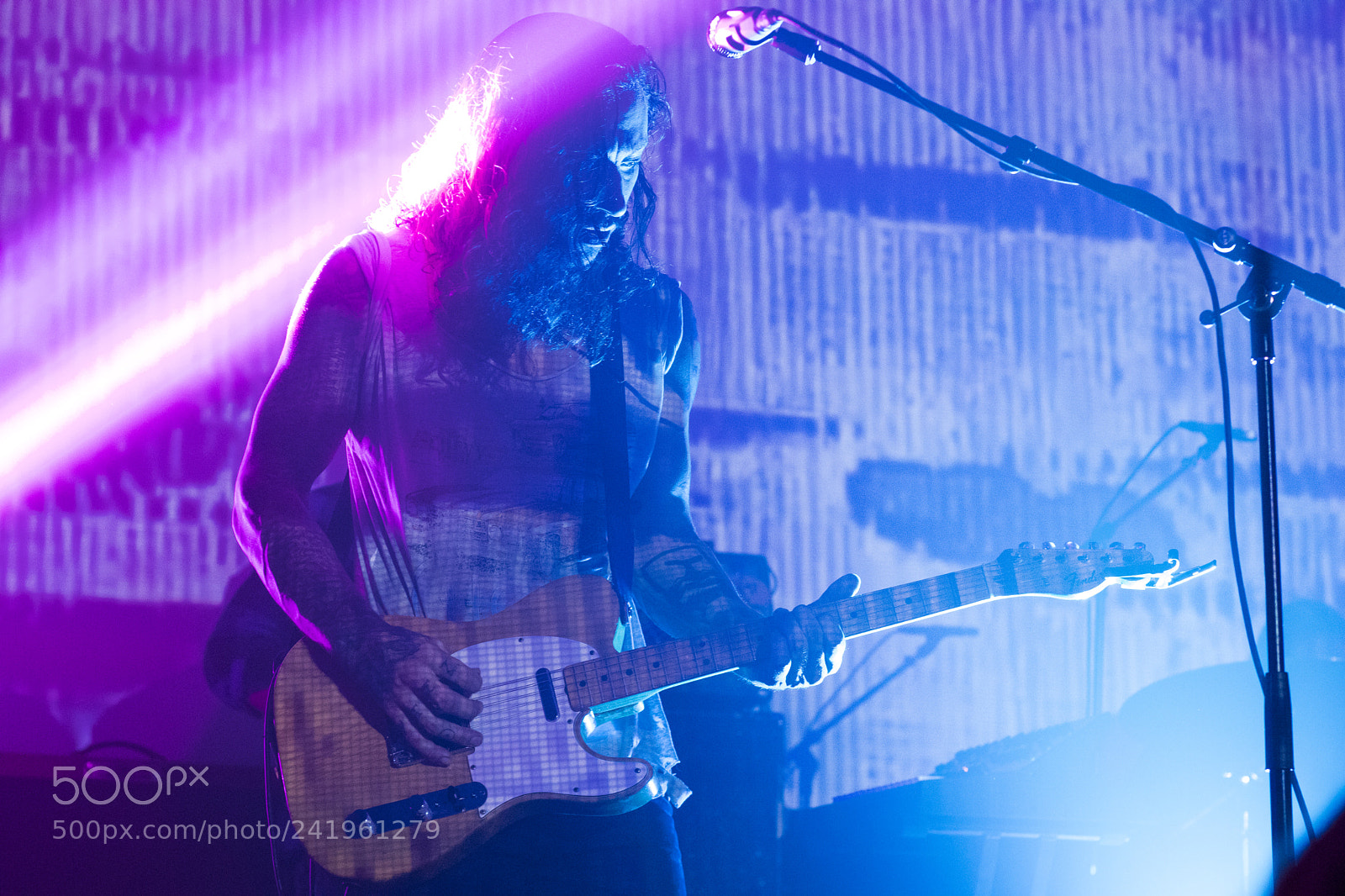 Canon EOS 200D (EOS Rebel SL2 / EOS Kiss X9) sample photo. Noah gundersen - vancouver photography