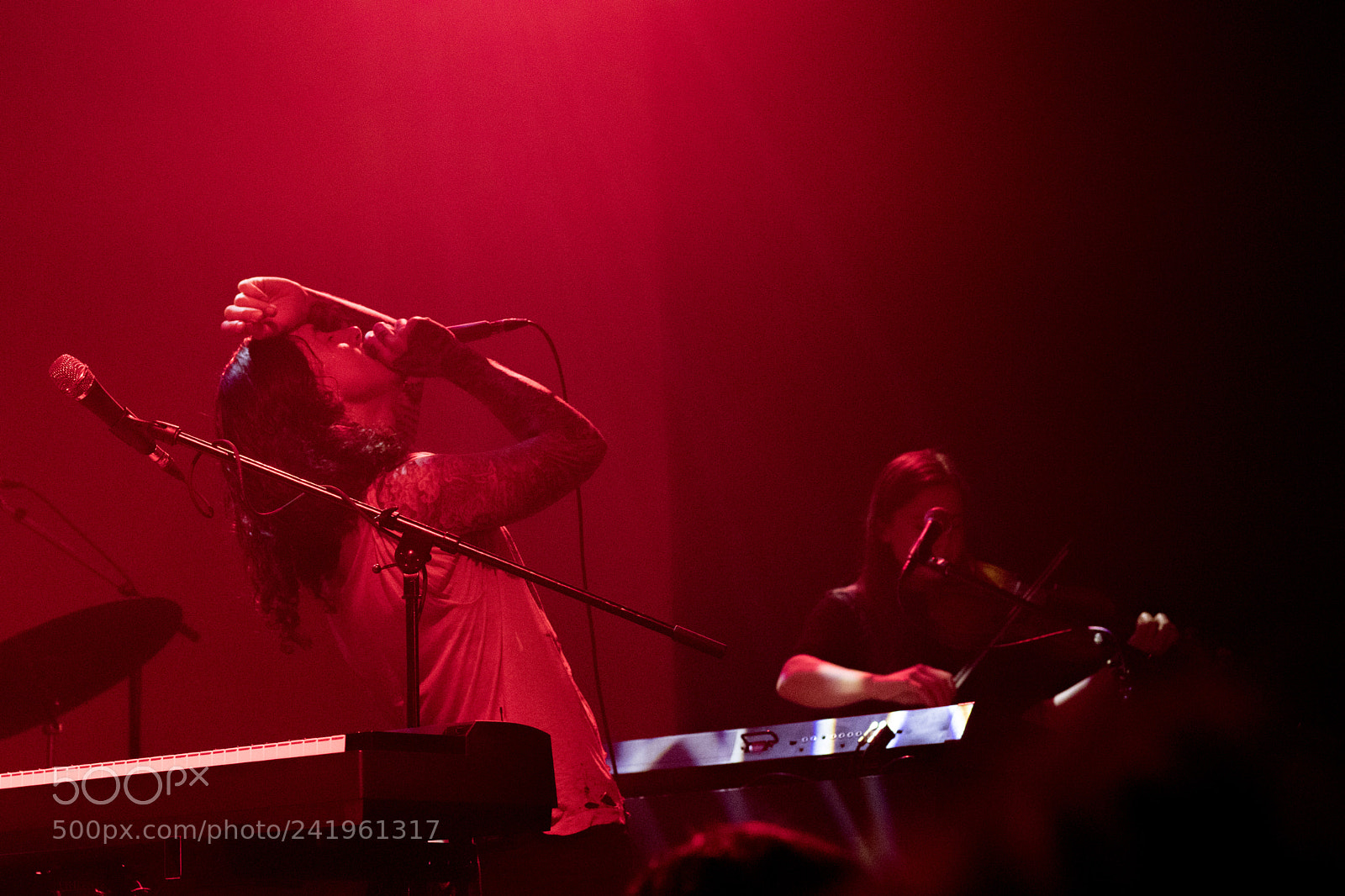 Canon EOS 200D (EOS Rebel SL2 / EOS Kiss X9) sample photo. Noah gundersen - vancouver photography