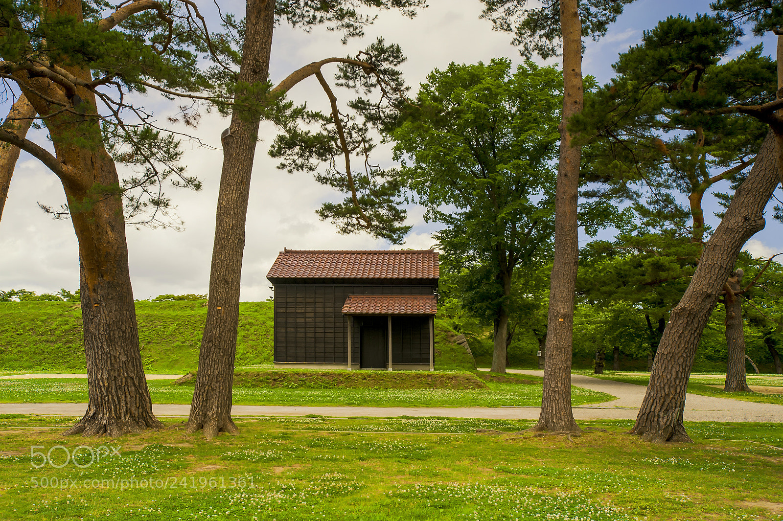 Nikon D700 sample photo. Tiny house in goryokaku photography