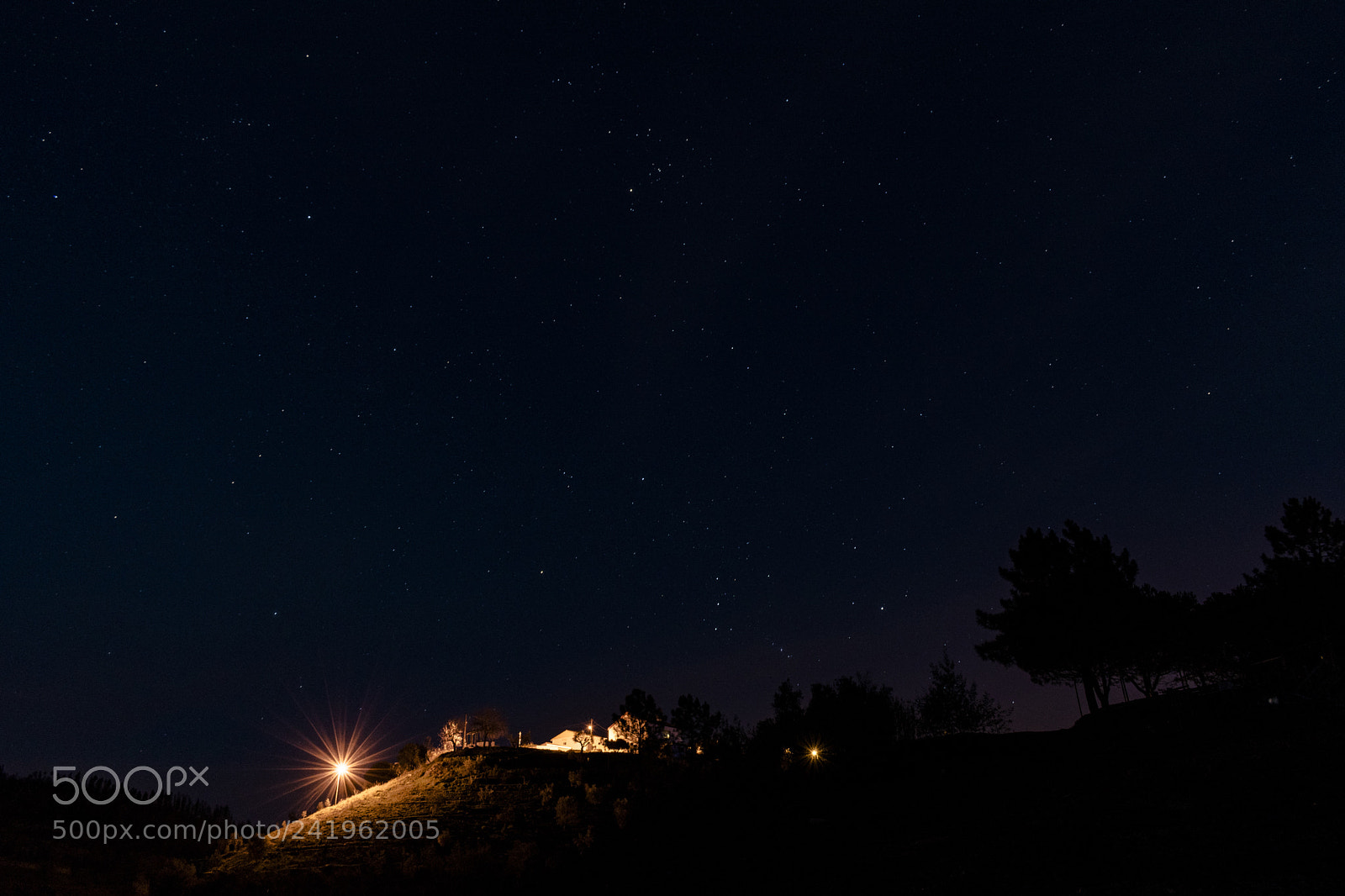 Nikon D5600 sample photo. Aldeia do mato photography