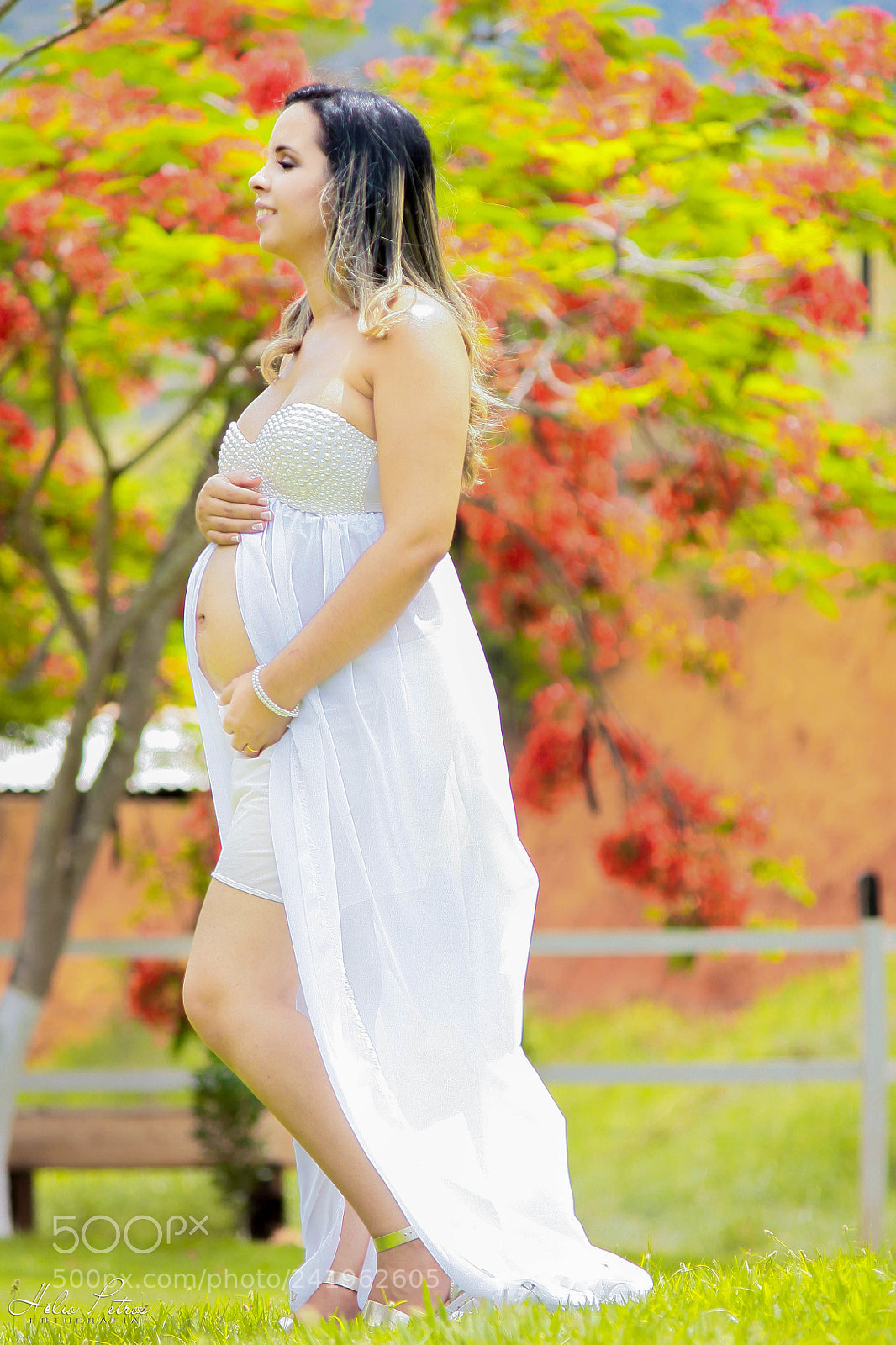 Canon EOS 50D sample photo. Yhyh photography