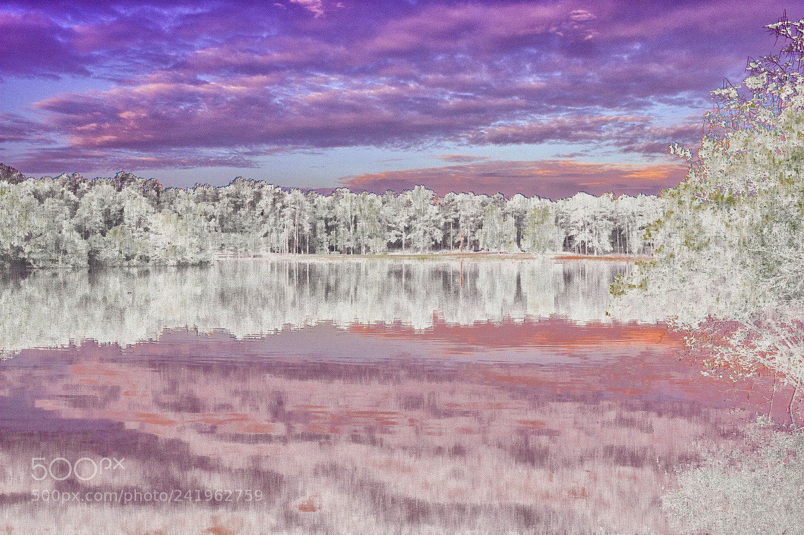 Canon EOS 600D (Rebel EOS T3i / EOS Kiss X5) sample photo. The colorful snowy sunrise photography