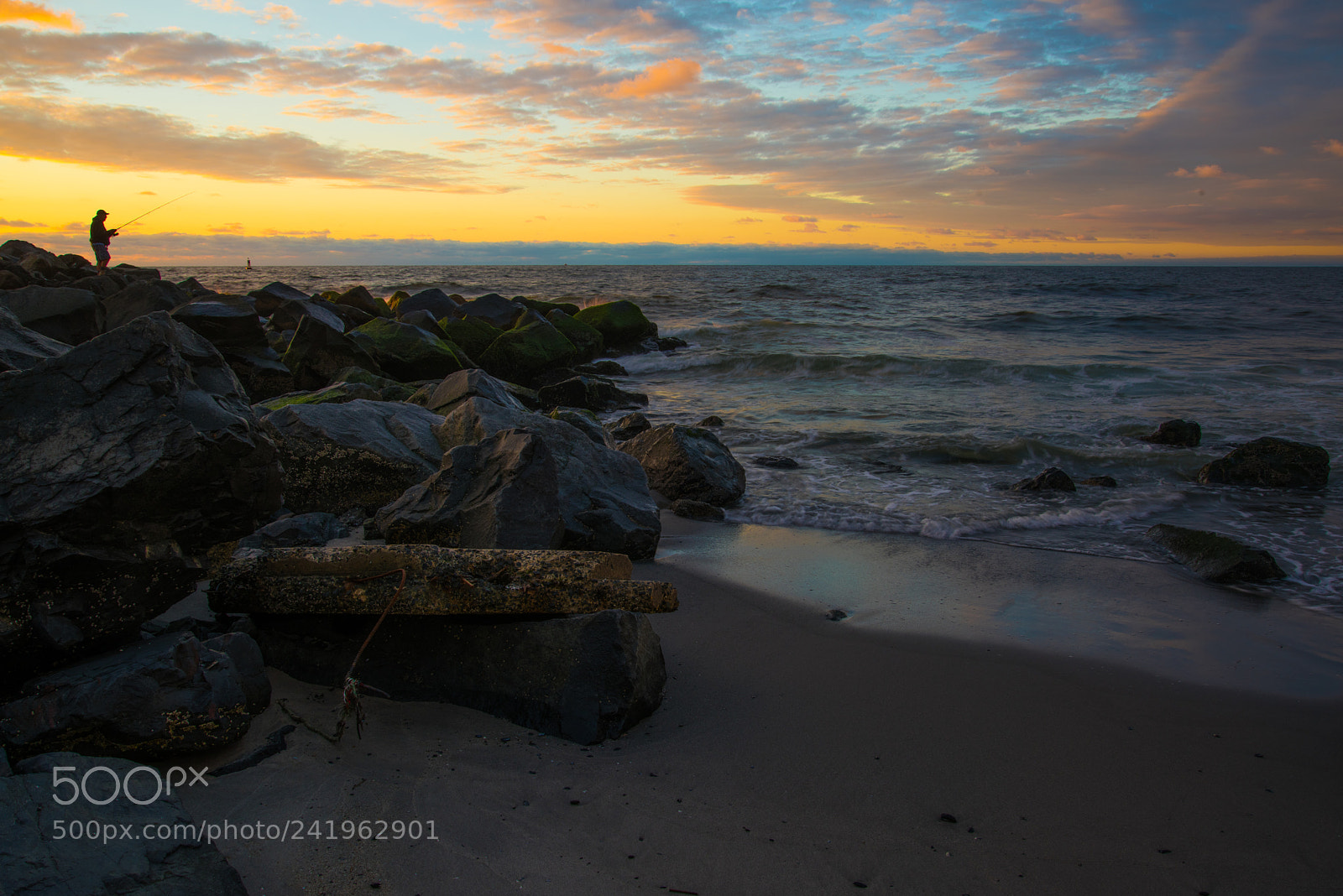 Nikon D810 sample photo. Early bird gets the photography