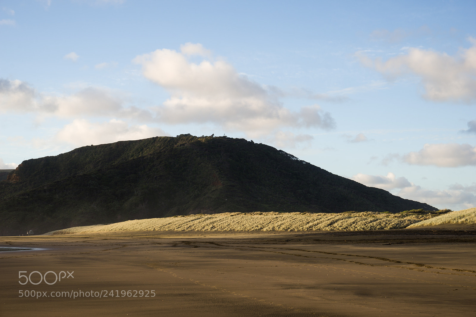 Sony a7 II sample photo. Bethells beach photography