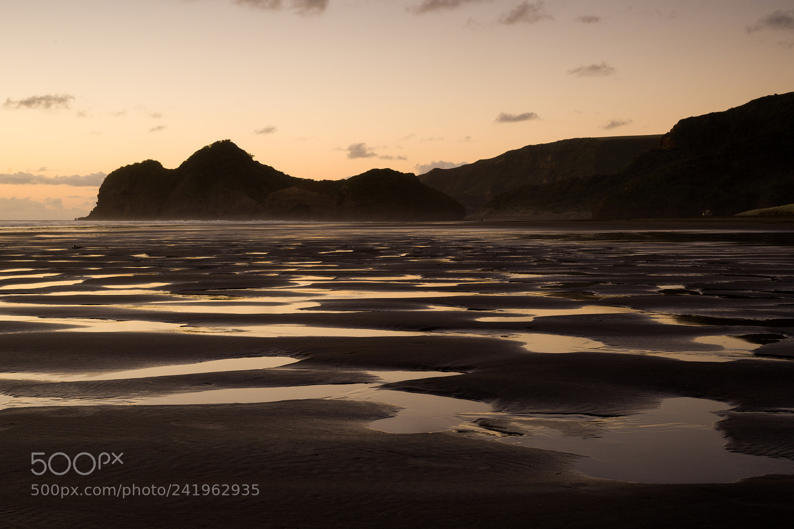 Sony a7 II sample photo. Bethells beach photography