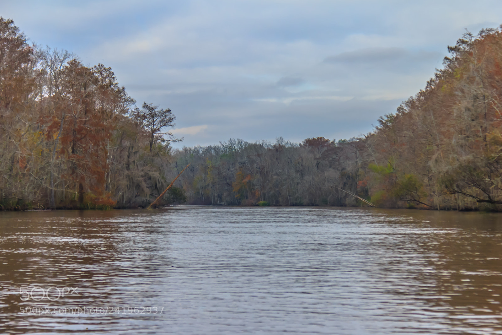 Canon EOS 60D sample photo. Bayou hdr #3 photography