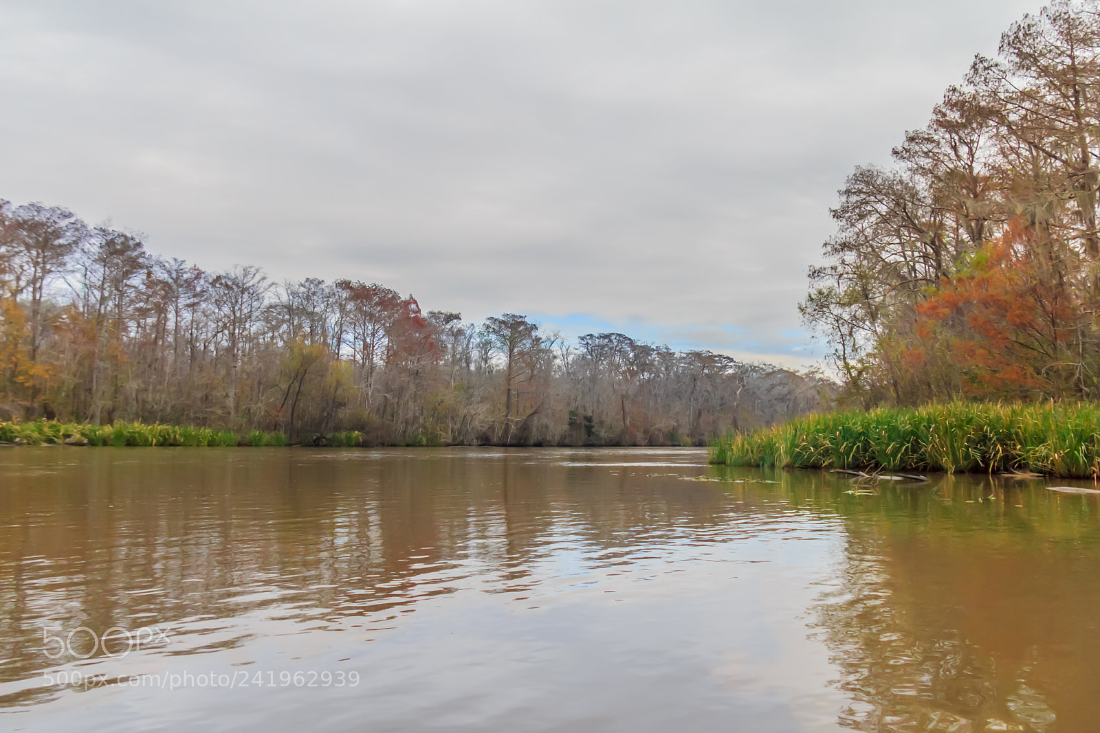 Canon EOS 60D sample photo. Bayou hdr #4 photography