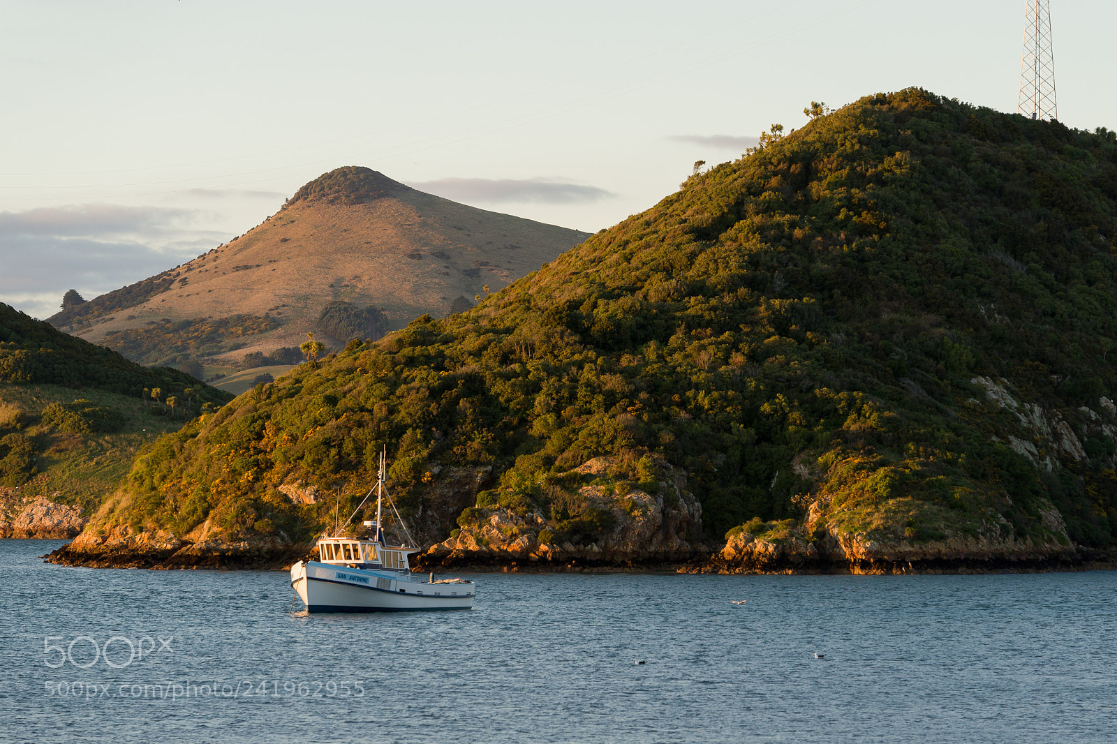 Sony a7 II sample photo. Port chalmers photography