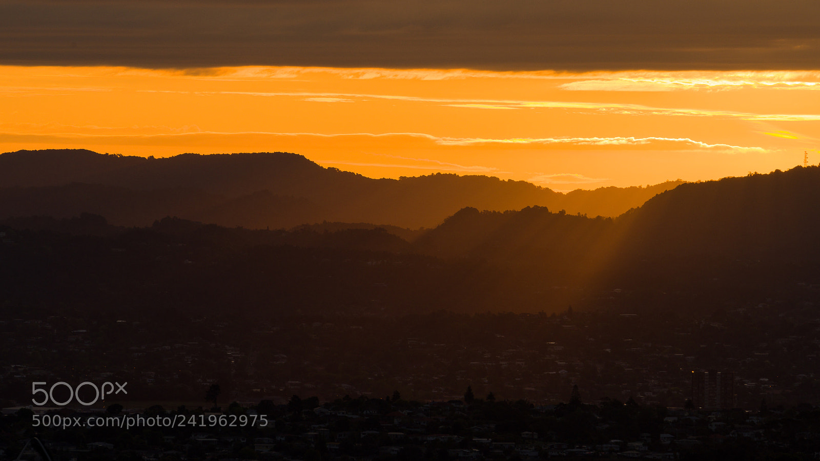 Sony a7 II sample photo. Auckland photography