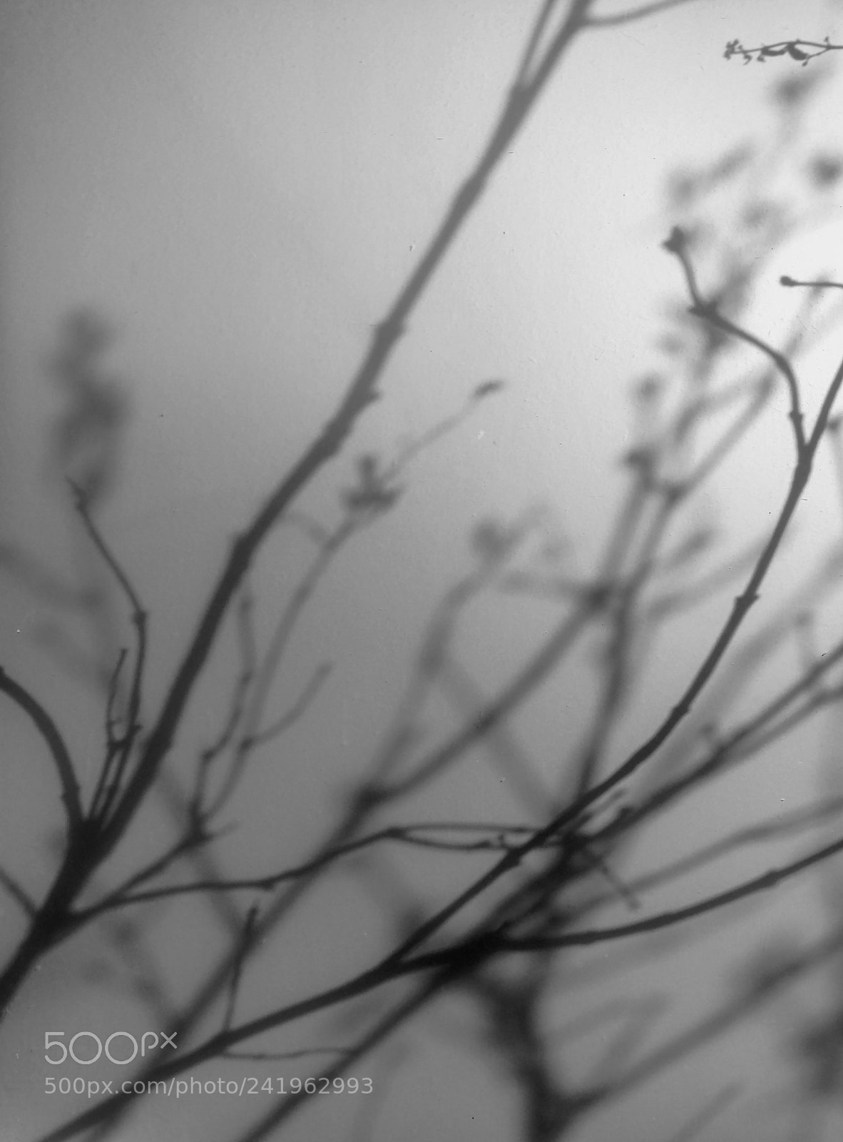 Motorola DROID Turbo 2 sample photo. A winter's night dream photography