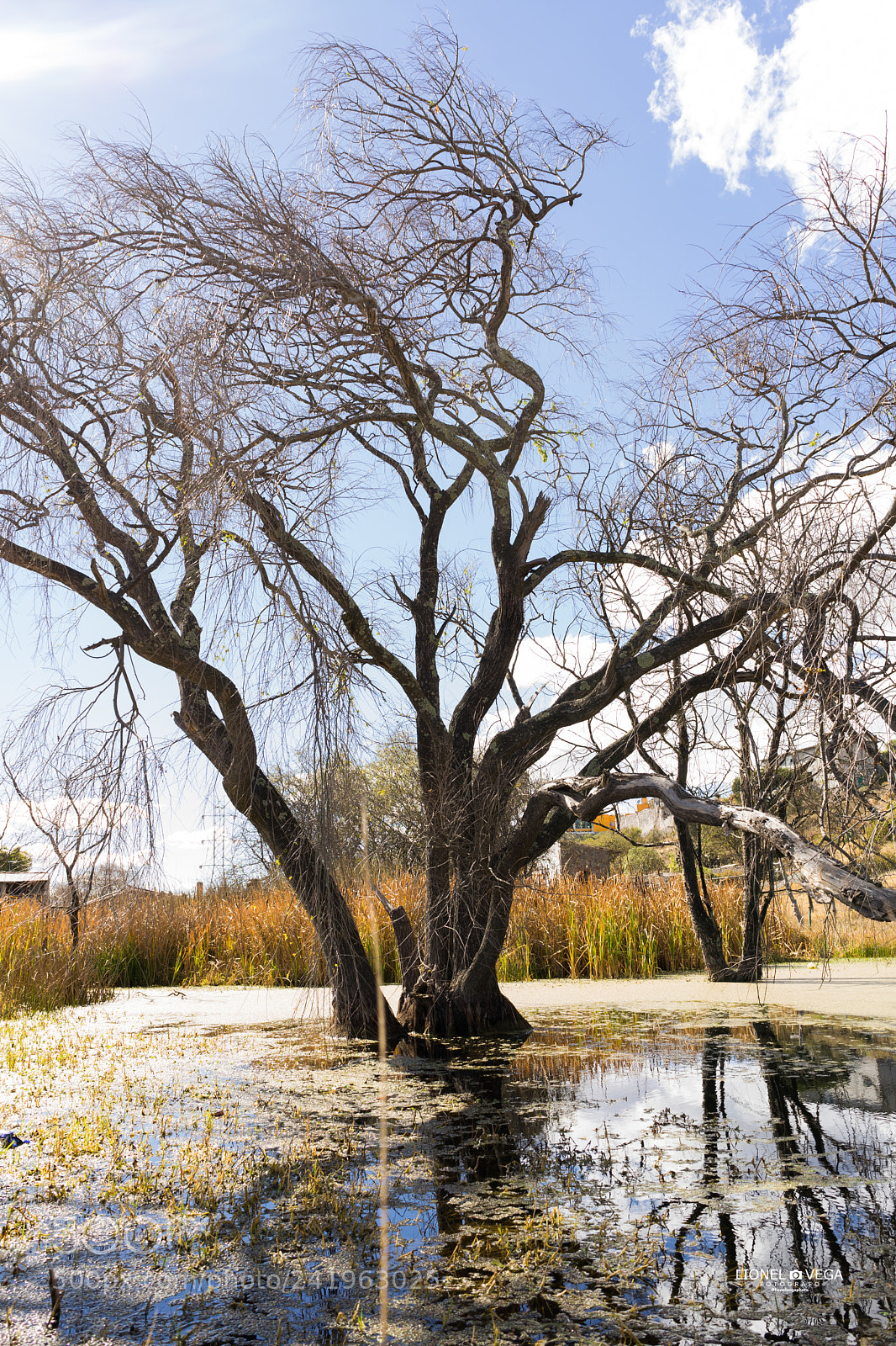 Sony a7 II sample photo. Sony sonyalpha sonya7ii 28mmf28 photography