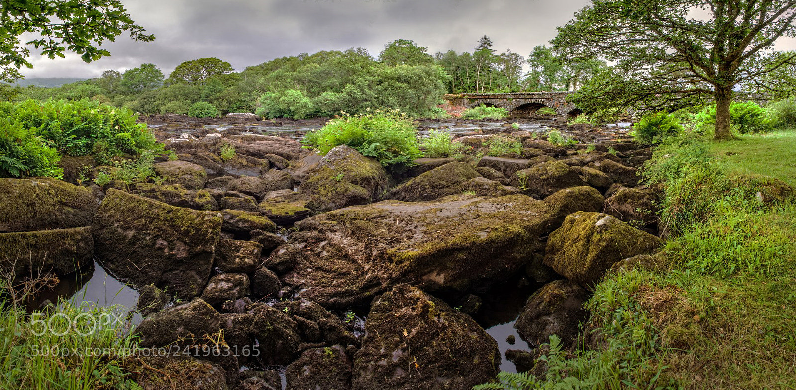 Olympus OM-D E-M1 sample photo. Glencar, ireland photography