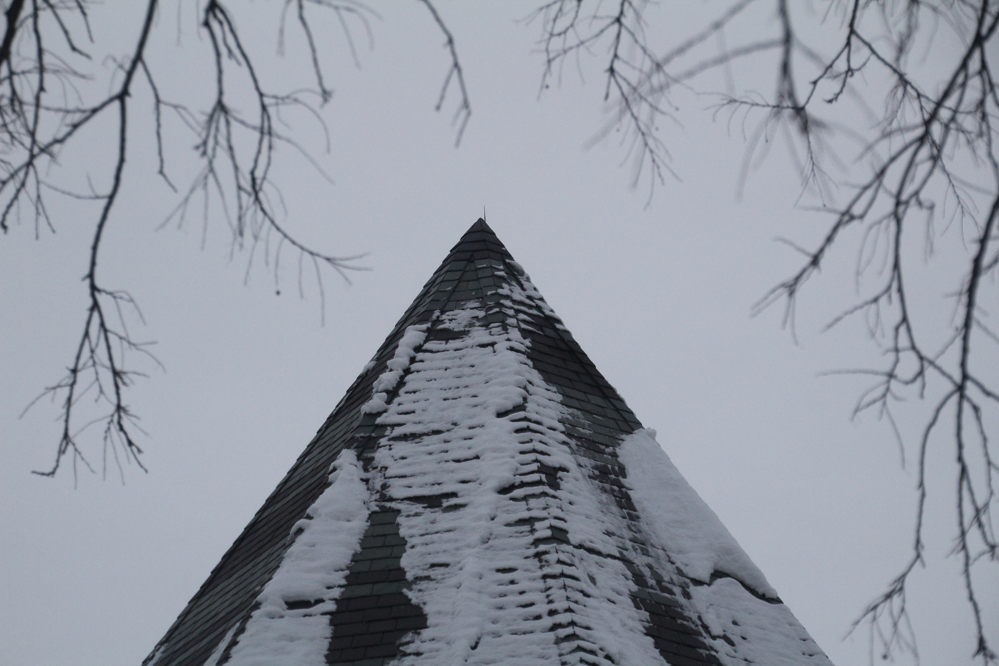 Canon EOS 1200D (EOS Rebel T5 / EOS Kiss X70 / EOS Hi) sample photo. Pointy structure and branches. 尖尖的結構和分支。 尖った構造と枝。 photography