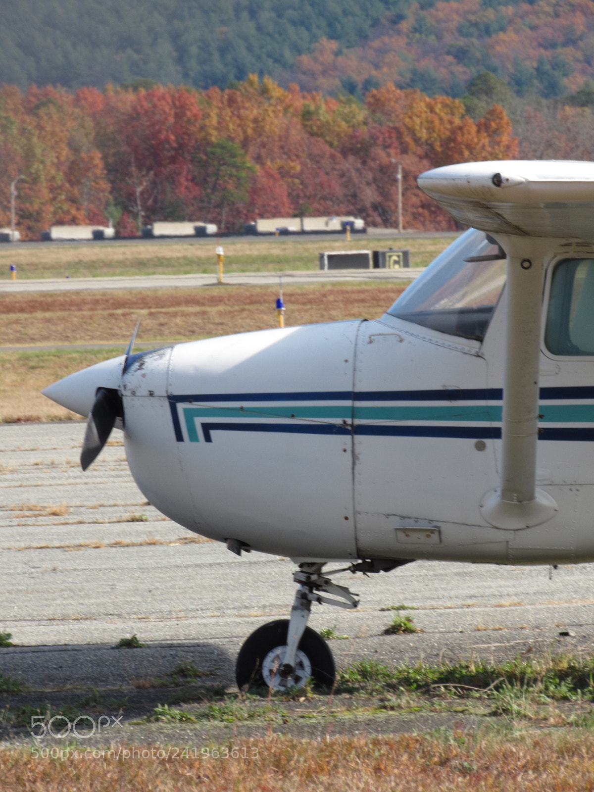 Canon PowerShot SX530 HS sample photo. Close up plane photography