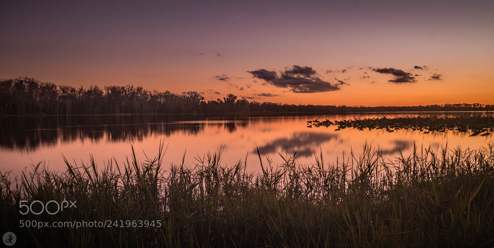 Samsung NX1 sample photo. Florida state road 11 (4) photography