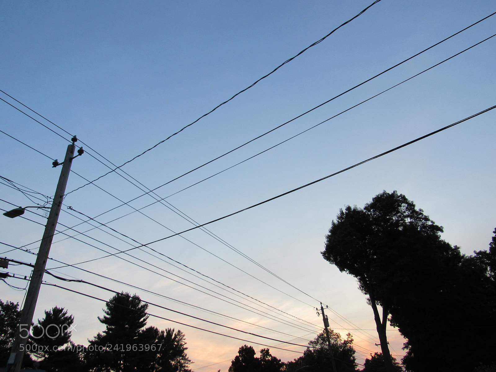 Canon PowerShot SX530 HS sample photo. Light in the dark photography