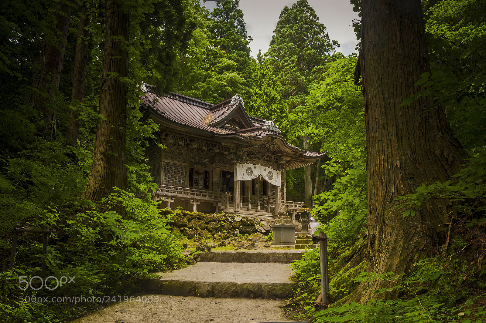 Nikon D700 sample photo. Towada shrine, towada, aomori photography