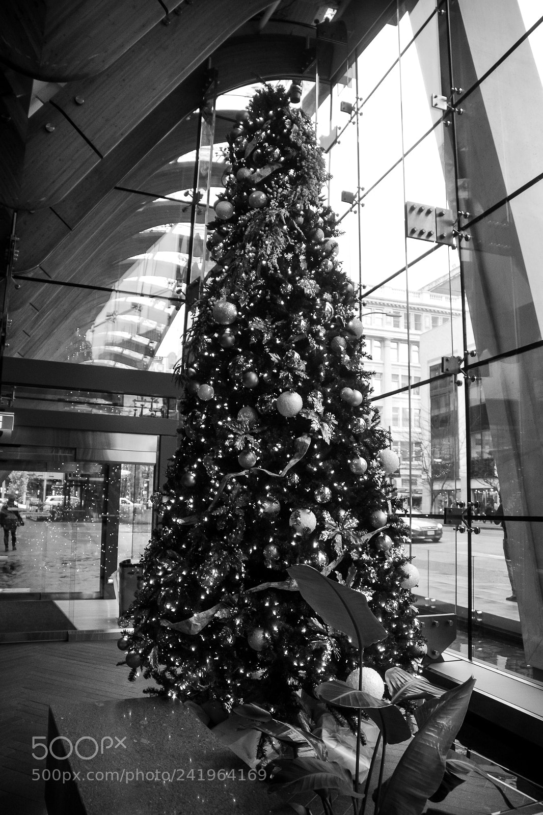 Nikon D800 sample photo. Christmas tree in black|黑色圣诞树 photography